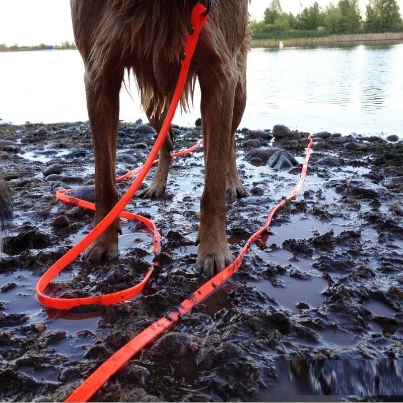 chien dans boue longe pour chien plate en pvc