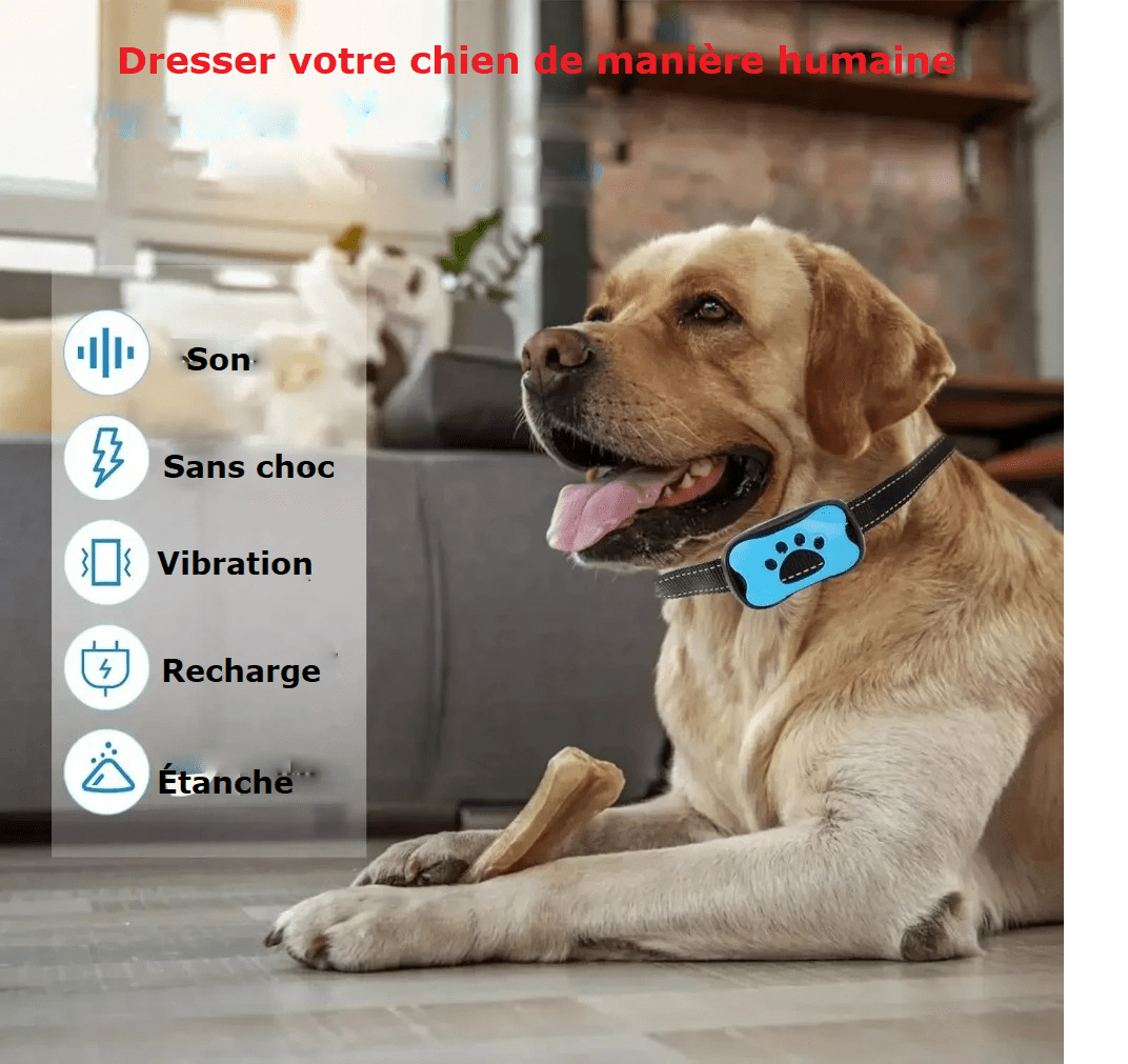 Collier anti aboiement | Velvox™ - Joyeux chien