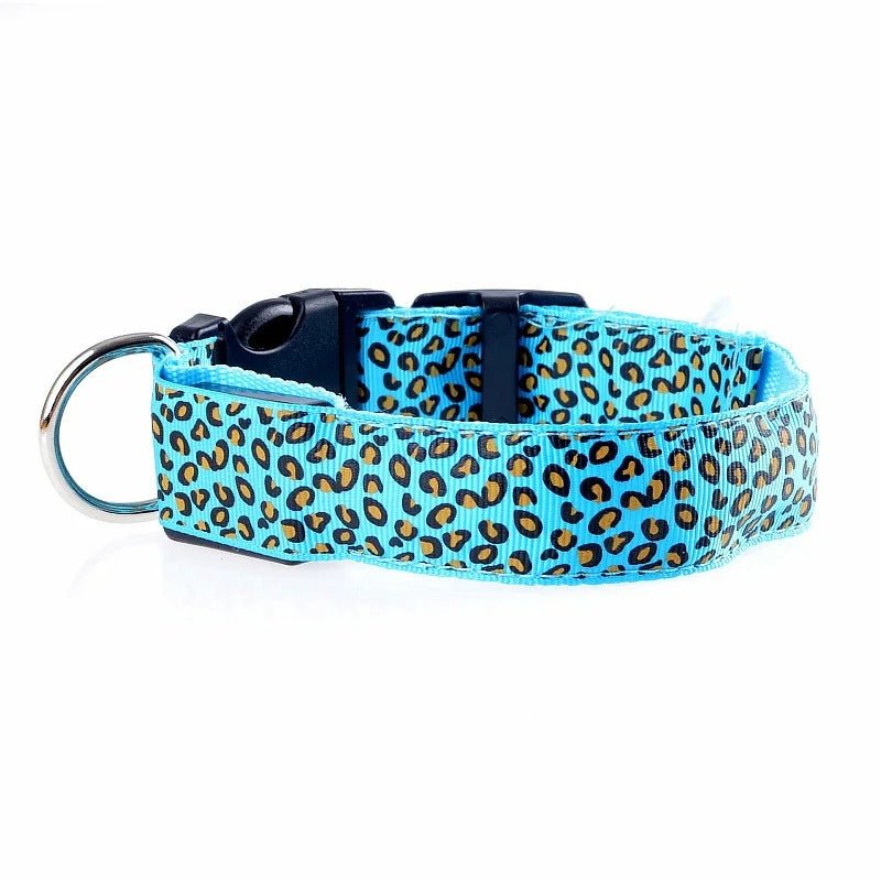 Collier lumineux pour Chien | NoctiDog - Joyeux chien