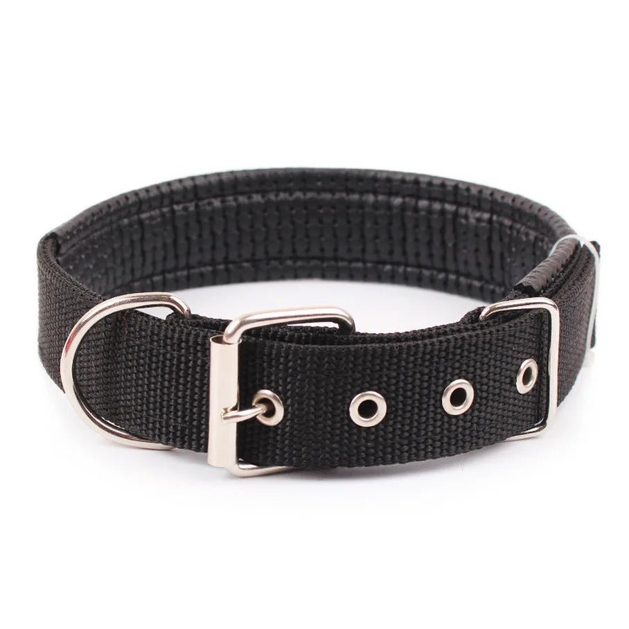 Collier pour chien | CollarPaw - Joyeux chien
