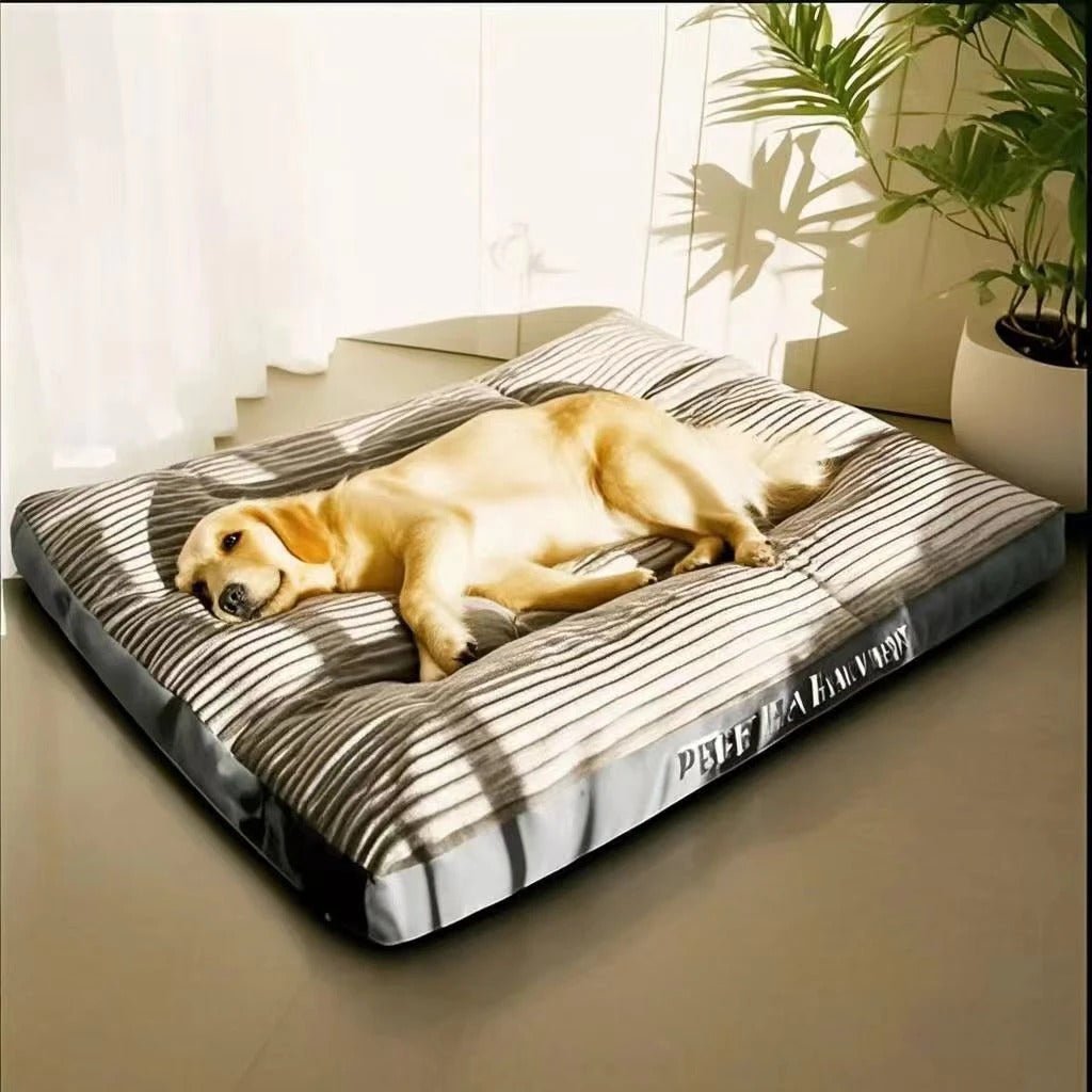 Coussin chien | Dog - Heaven™ - Joyeux chien