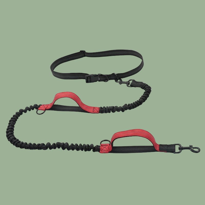 Laisse chien AltiPaw canicross variant rouge