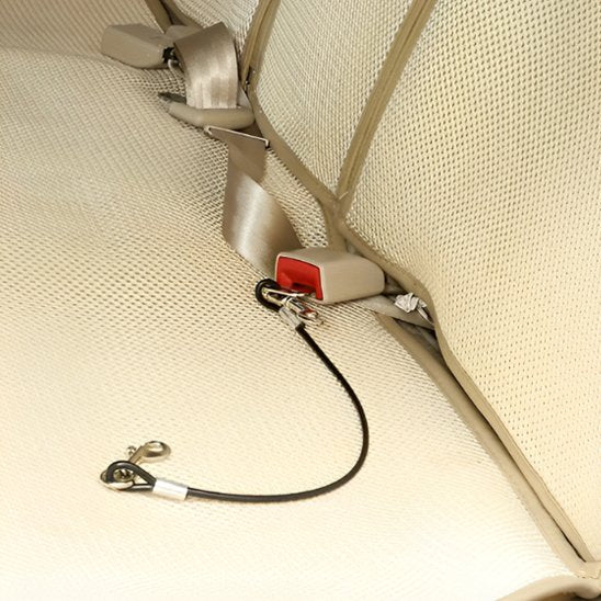 Laisse pour chien | Canilinkâą - Joyeux chien