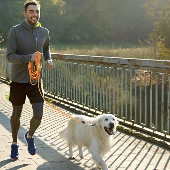 Longe pour chien en nylon poignée rembourrée - Joyeux chien