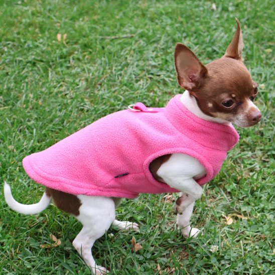 Manteau chien | SnowPawsâą - Joyeux chien