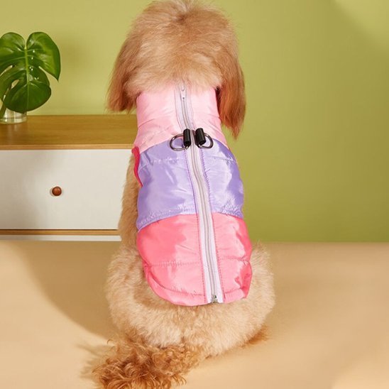 Manteau petit chien | CosyPupâą - Joyeux chien