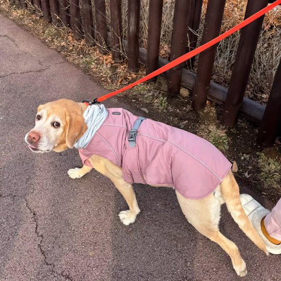 Manteau pour chien Veste d'hiver de luxe rose- Joyeux chien