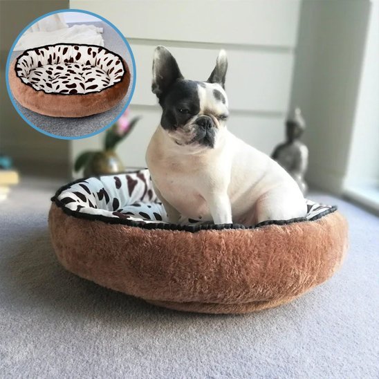 Panier chien | Édenpoil™ - Joyeux chien