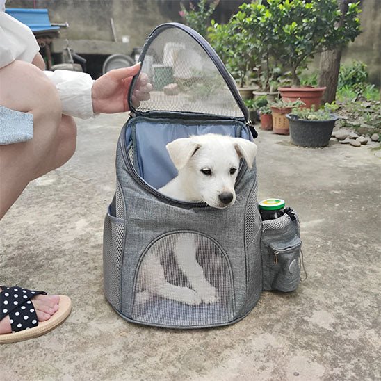 Sac à dos pour chien | PupHiker™ - Joyeux chien