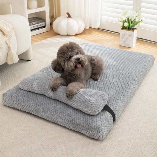 Tapis chien | Nappoâą - Joyeux chien