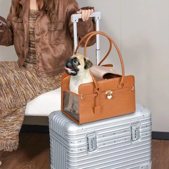 Comment choisir un sac de transport pour chien : guide complet - Joyeux chien