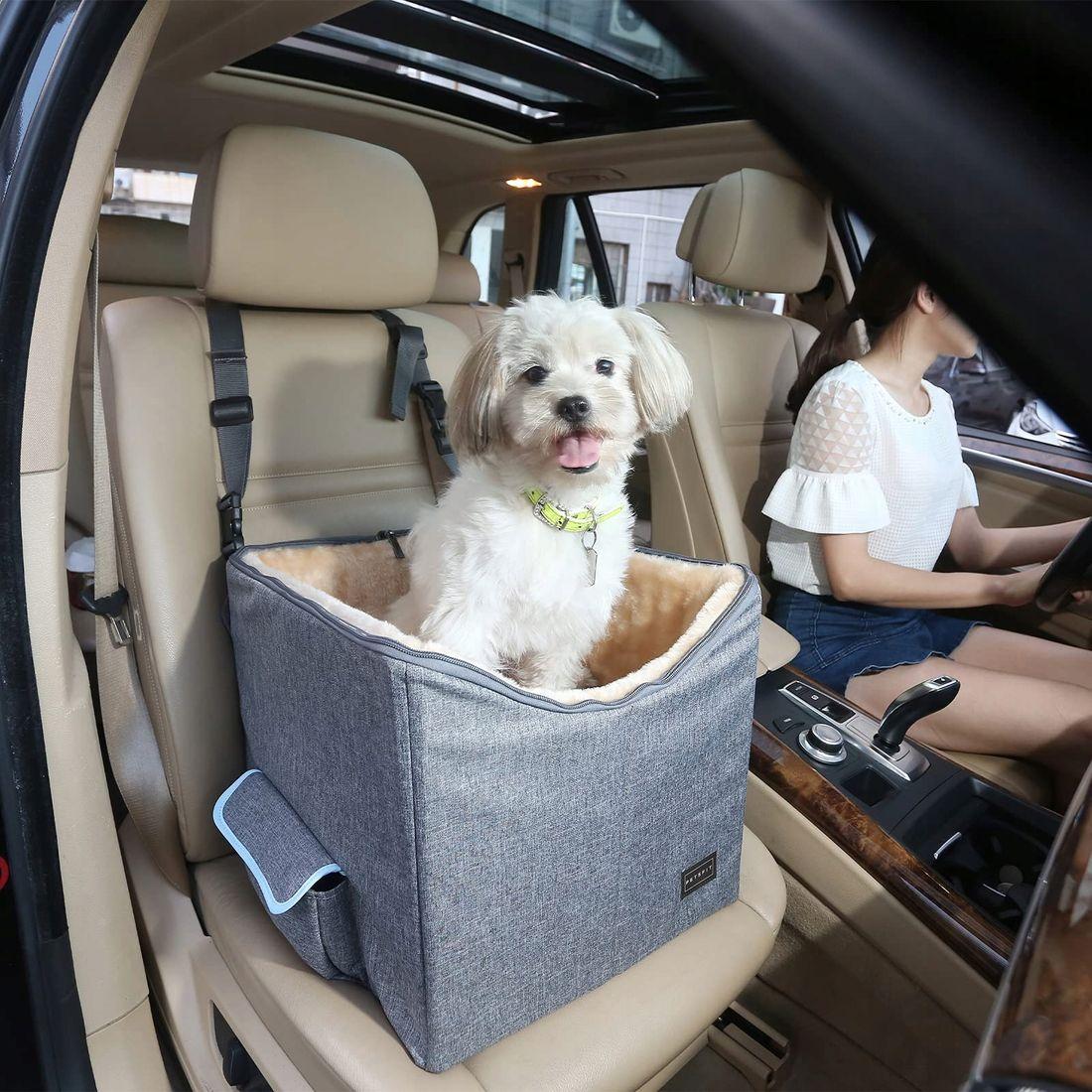 Voyager en voiture avec son chien : le guide complet du siège auto adapté - Joyeux chien