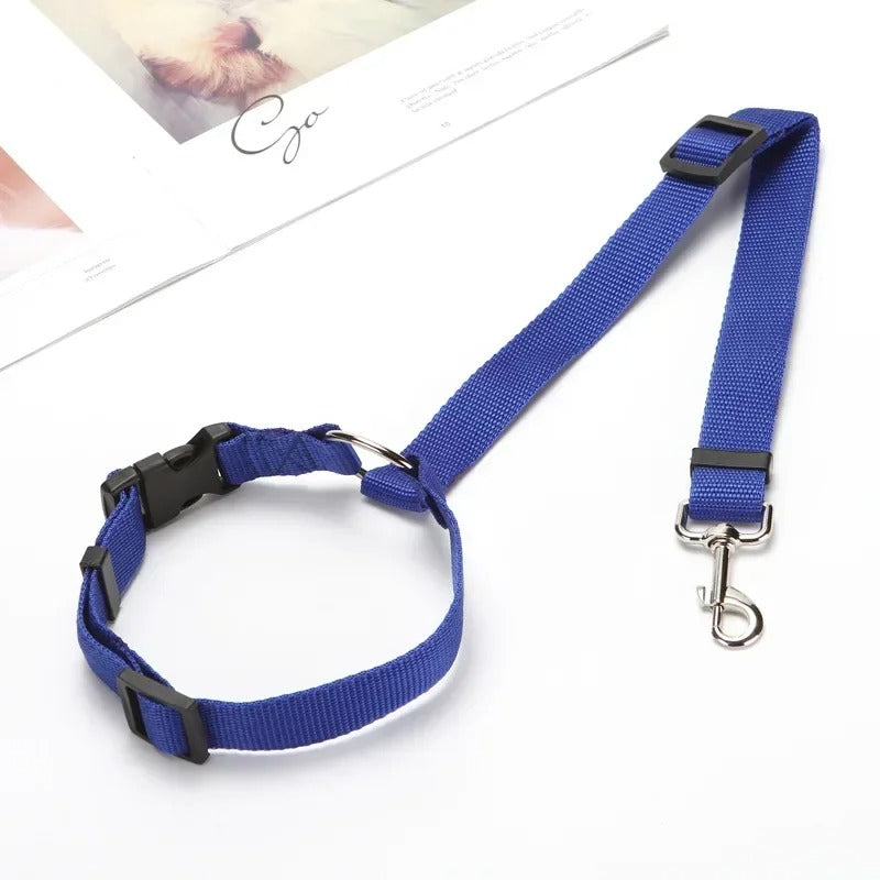 Ceinture sécurité pour chien bleu 