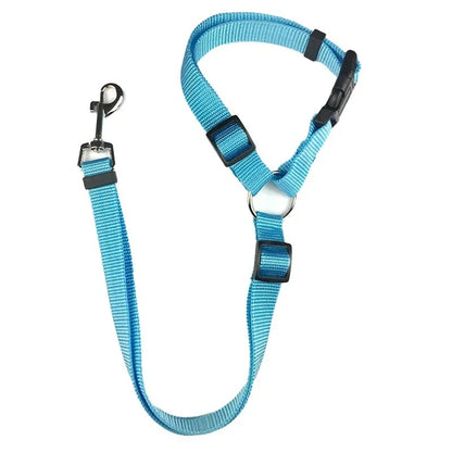 Ceinture sécurité pour chien bleu ciel