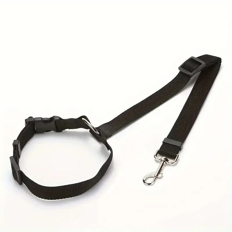 Ceinture sécurité pour chien noir