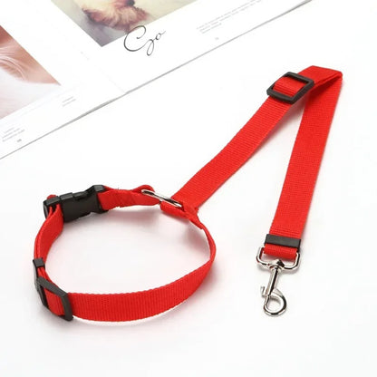 Ceinture sécurité pour chien rouge