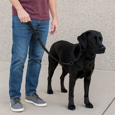 Chien tenu par la laisse chien PawFlex™ noir
