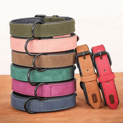 Collier chien | Didog™