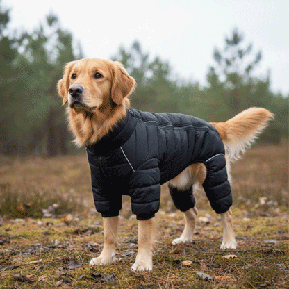 Doudoune chaude impermeable pour chien descriptif