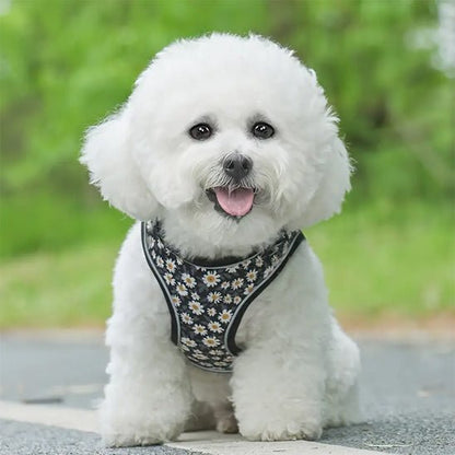 Harnais petit chien MiniPaws noir