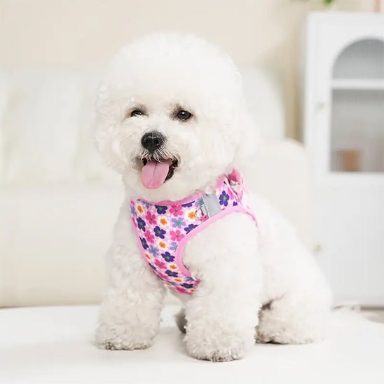 Harnais petit chien MiniPaws rose