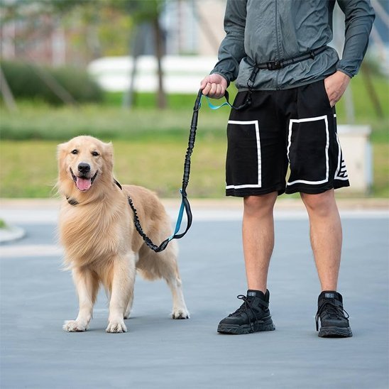Laisse canicross SwagDog en ville
