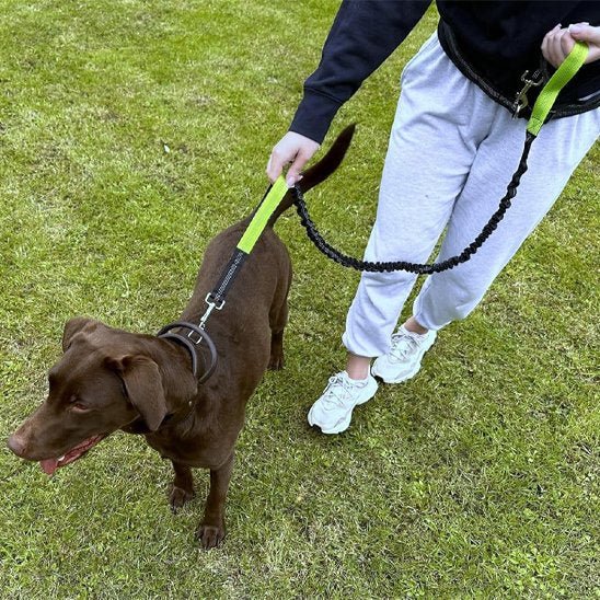 Laisse canicross SwagDog vert