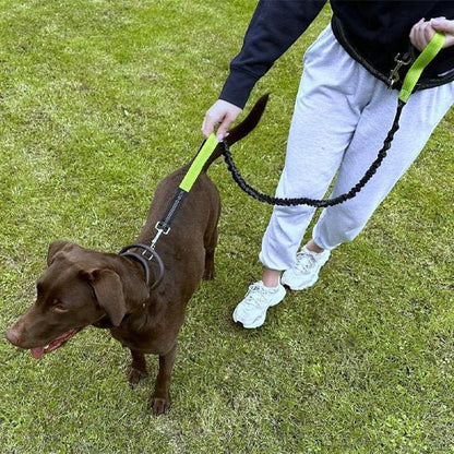 Laisse canicross SwagDog vert