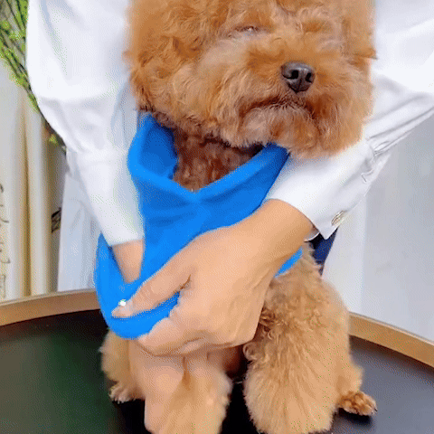 Manteau chien | SnowPaws™