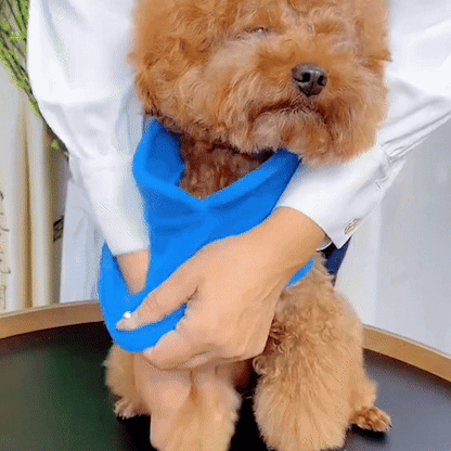 Manteau chien | SnowPaws™