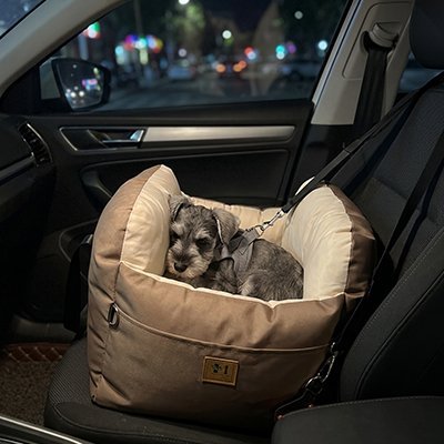 Siège auto pour chien PawLove™ variant marron
