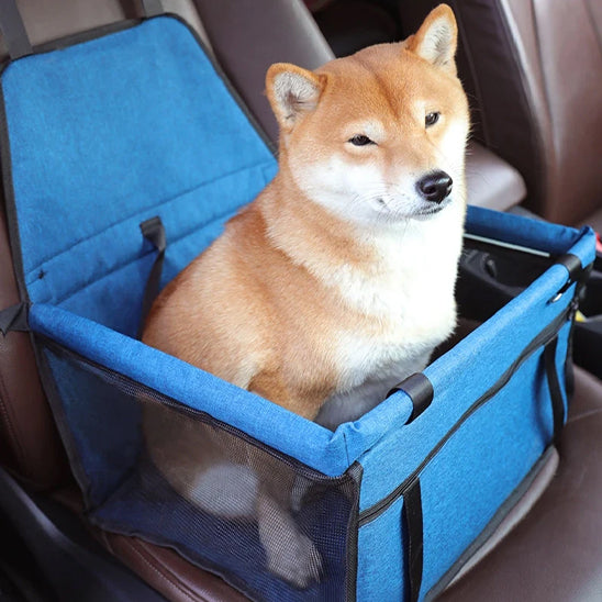 Siege auto pour chien CoconCanin variant bleu