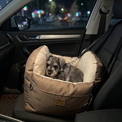 Siege auto pour chien PawLove™ variant marron