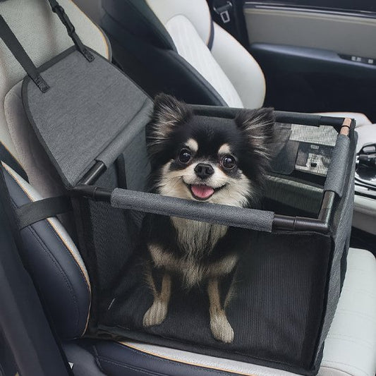 Siege auto pour chien RoadPaw petit chien installe banquette avant