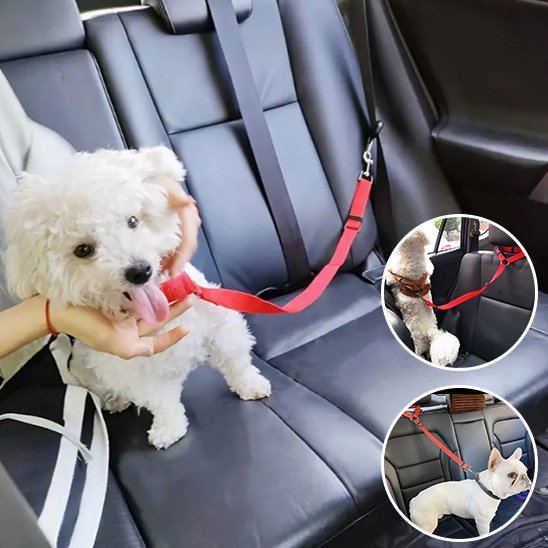Ceinture de sécurité pour chien rose