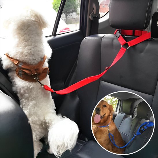 Ceinture de sécurité pour chien rouge noir