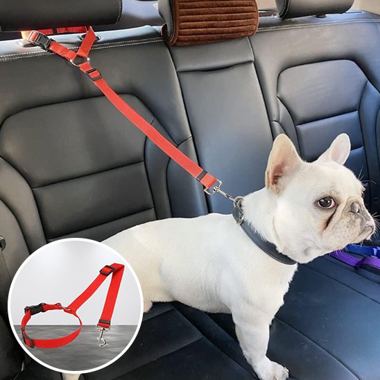Ceinture de sécurité pour chien rouge