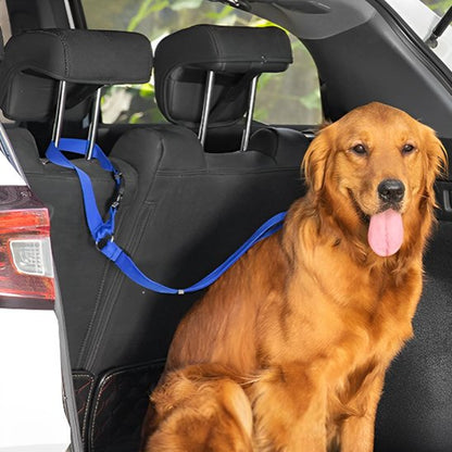 Ceinture de sécurité pour chien variant bleu