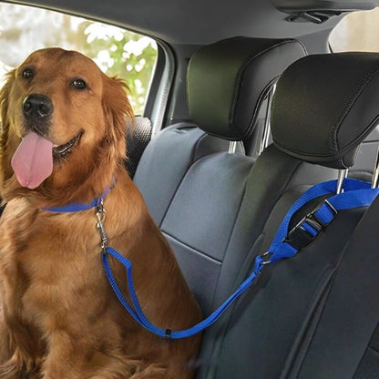 Ceinture de sécurité pour chien variant bleu1