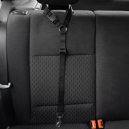 Ceinture de sécurité pour chien variant noir