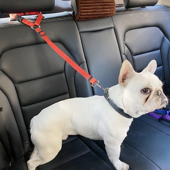 Ceinture de sécurité pour chien variant rose