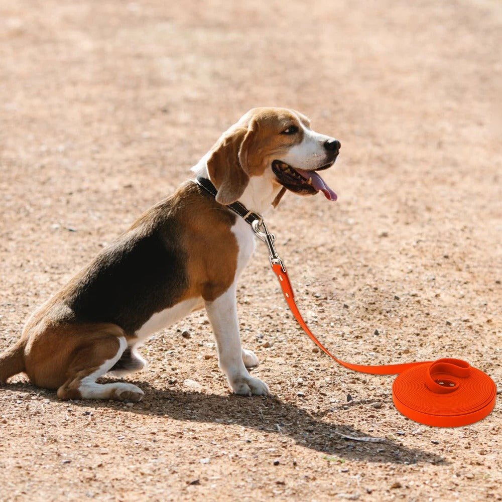 chien avec longe pour chien plate en pvc orange