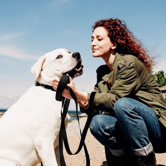 chien tenu longe pour chien en symbiose femme