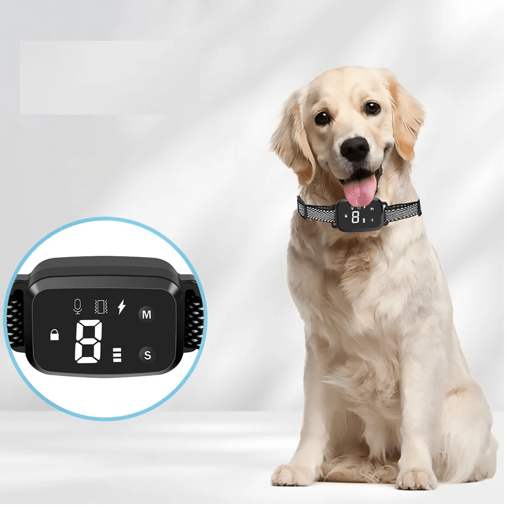 Collier anti aboiement pour chien | Sereno™ - Joyeux chien