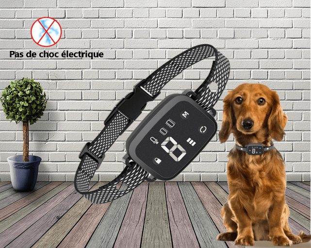 Collier anti aboiement pour chien | Sereno™ - Joyeux chien