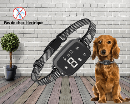 Collier anti aboiement pour chien | Sereno™ - Joyeux chien