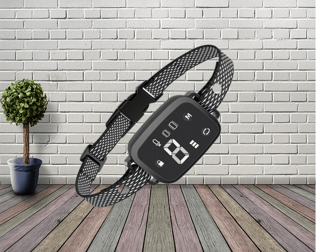 Collier anti aboiement pour chien | Sereno™ - Joyeux chien