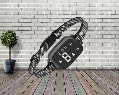 Collier anti aboiement pour chien | Sereno™ - Joyeux chien