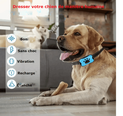 Collier anti aboiement | Velvox™ - Joyeux chien