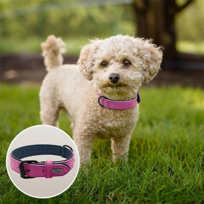 Collier chien | Didog™ - Joyeux chien